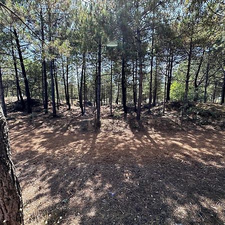Appartement Au Bord De Mer Saint-Brevin-les-Pins Eksteriør billede